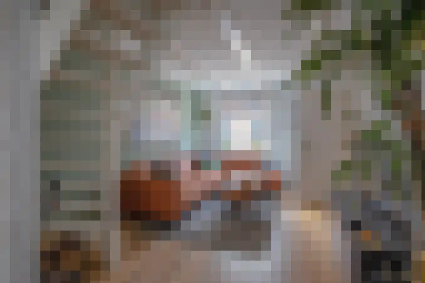 Peperstraat 10 Oosterend thumbnail 4