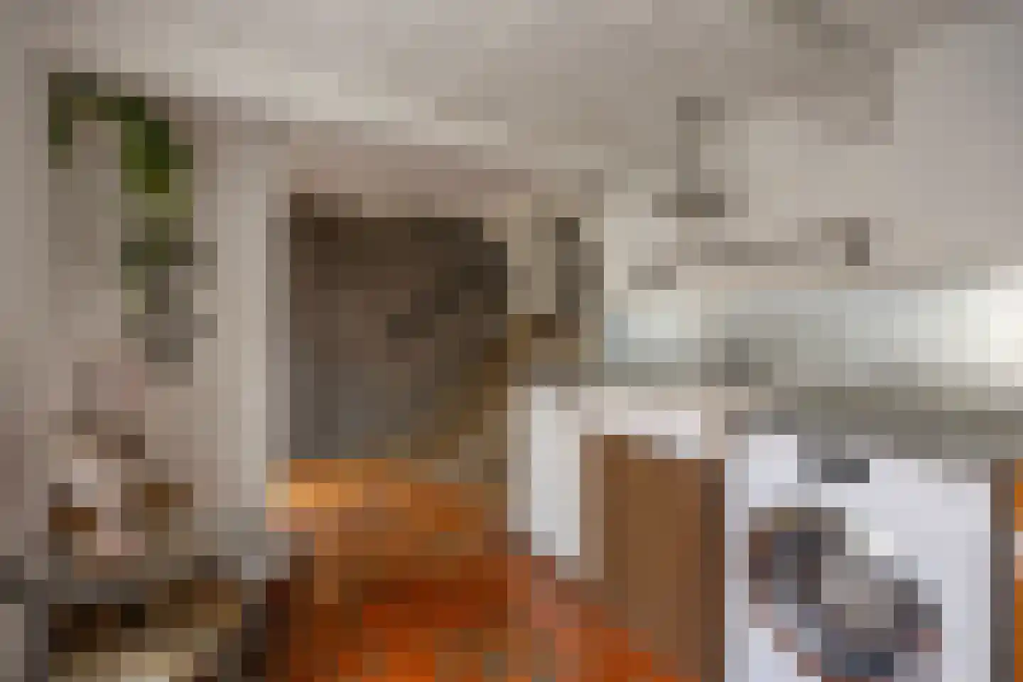 Peperstraat 10 Oudewater thumbnail 11