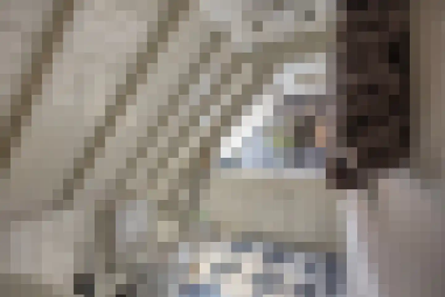 Peperstraat 10 Oudewater thumbnail 15