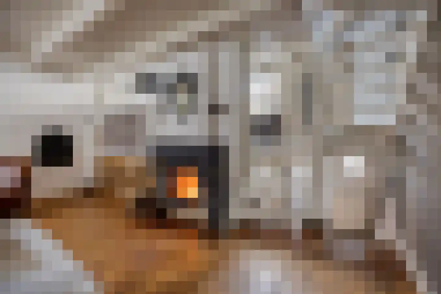 Peperstraat 10 Oudewater thumbnail 6