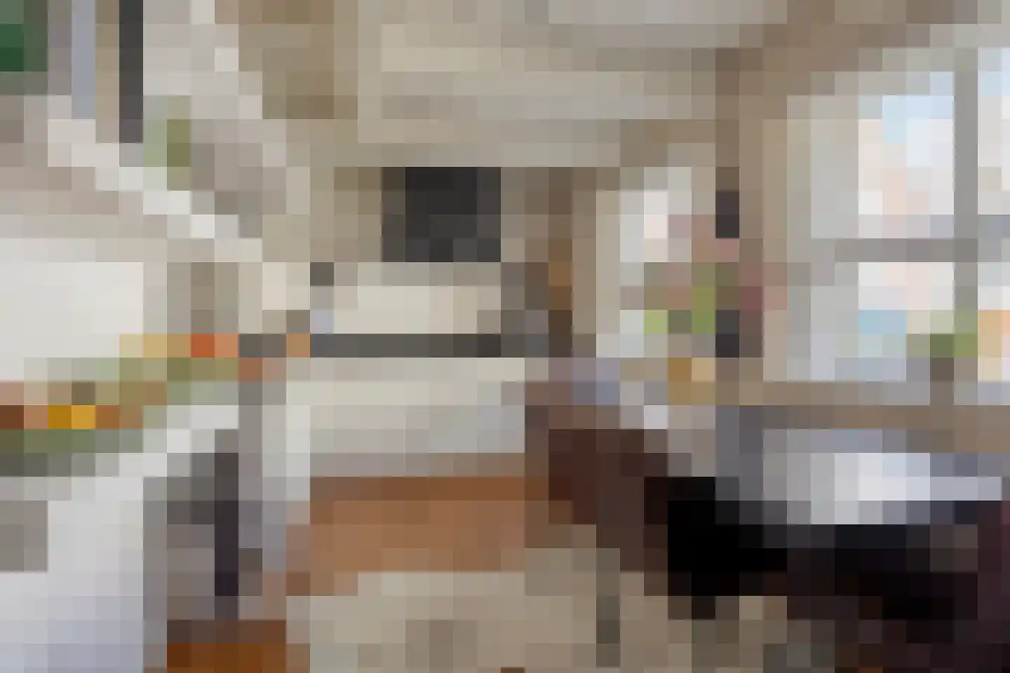 Peperstraat 10 Oudewater thumbnail 7