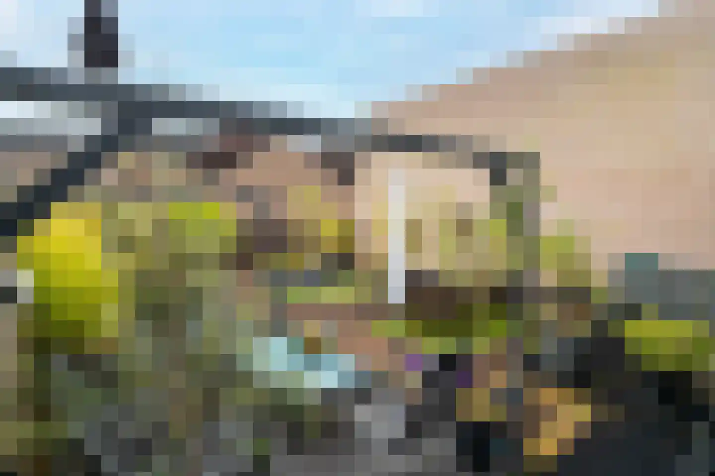 Peperstraat 11 Kaatsheuvel thumbnail 43