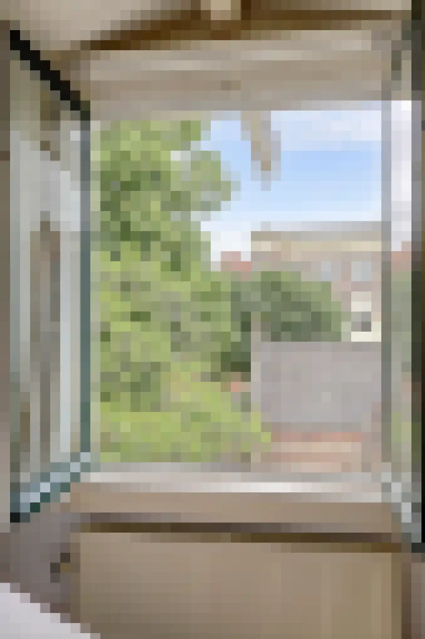 Peperstraat 116 Gouda thumbnail 29