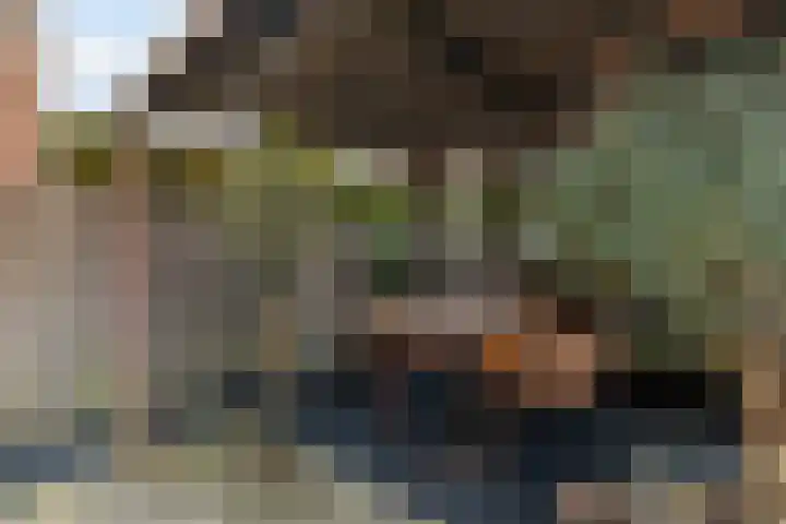 Peperstraat 13 in Vlaardingen