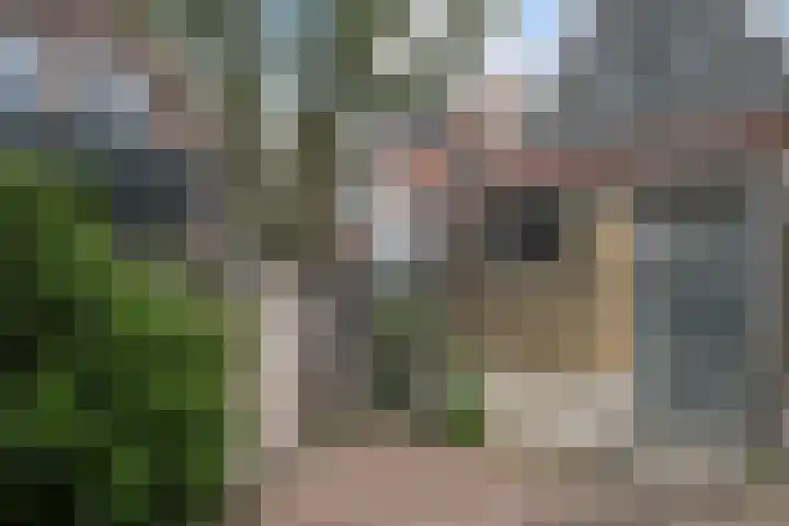 Peperstraat 13 Vlaardingen thumbnail 15