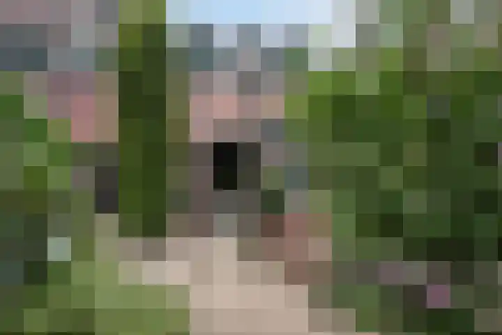 Peperstraat 13 Vlaardingen thumbnail 16