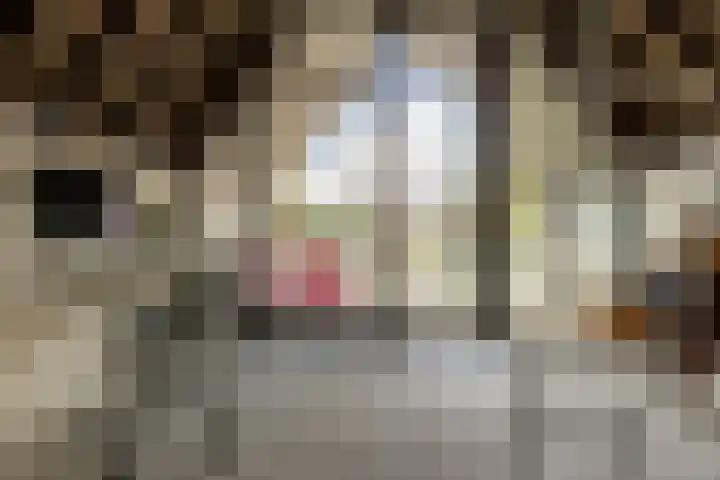Peperstraat 130 Gouda thumbnail 54