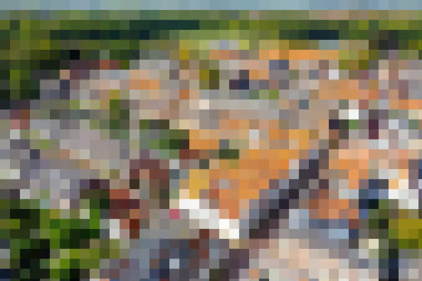 Peperstraat 14 Naarden thumbnail 46