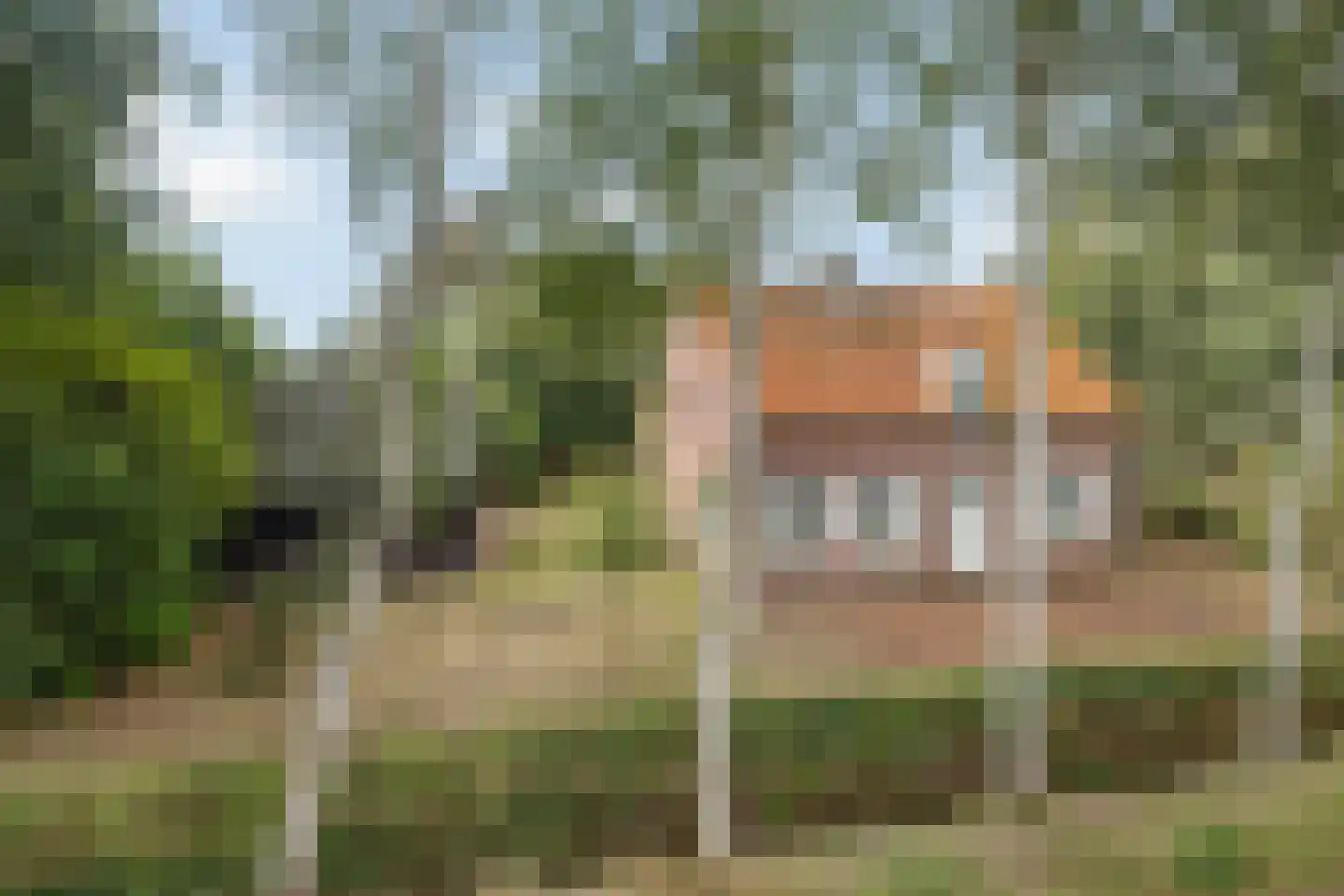 Peperstraat 14 Oirschot