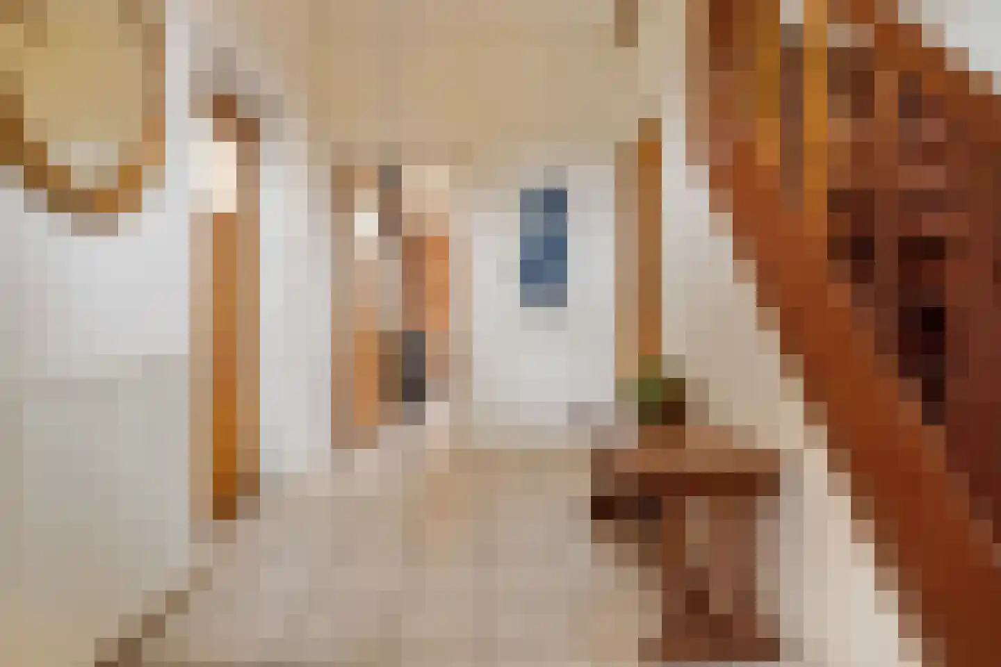 Peperstraat 14 Oirschot thumbnail 10