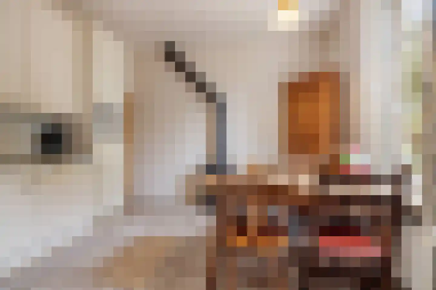Peperstraat 14 Oirschot thumbnail 24