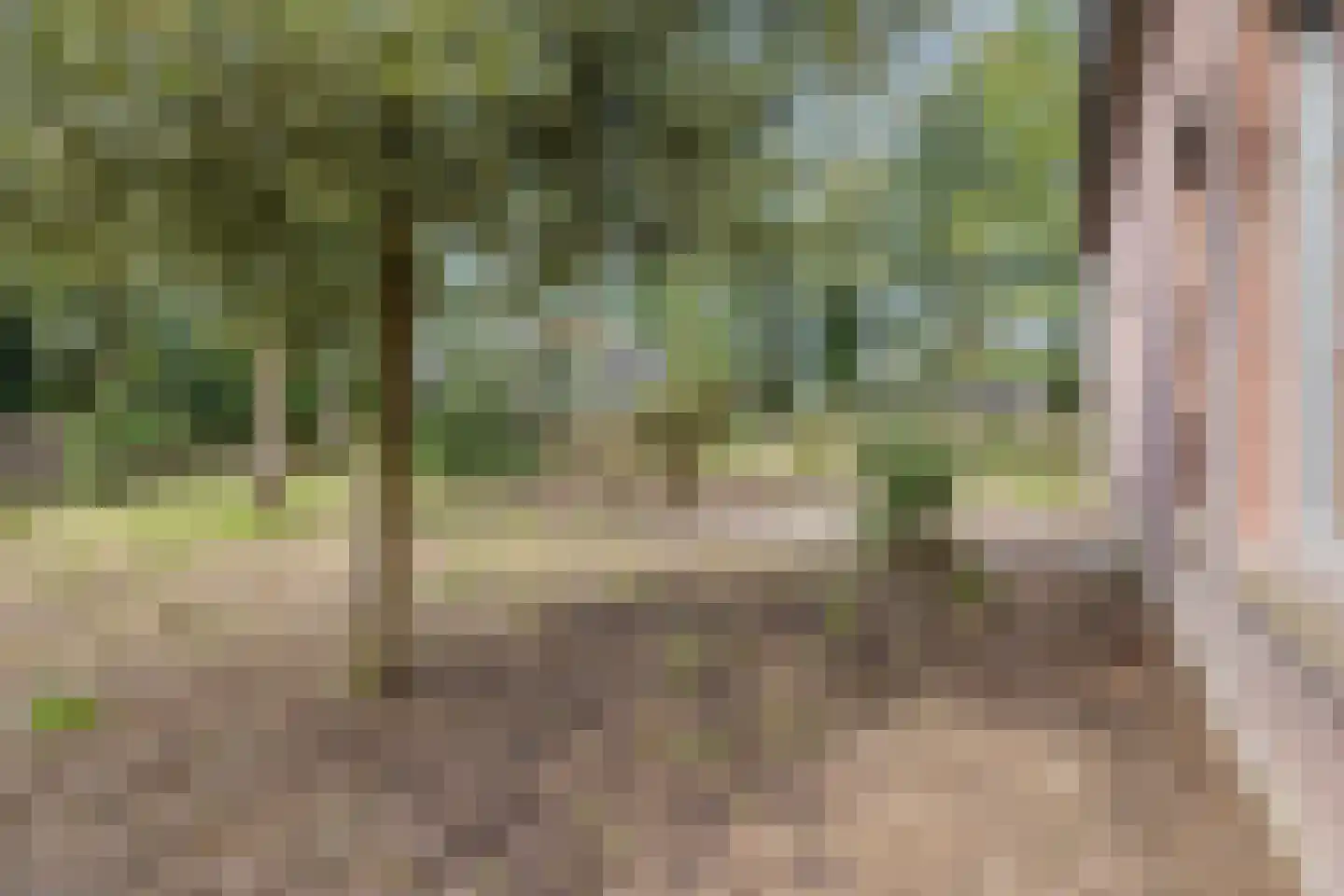 Peperstraat 14 Oirschot thumbnail 39