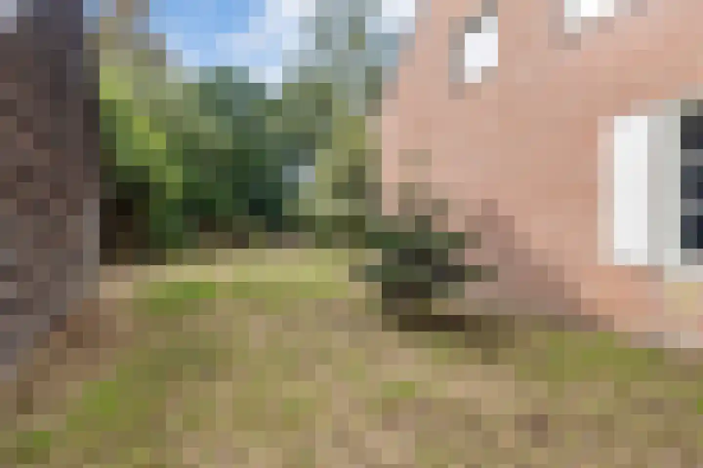Peperstraat 14 Oirschot thumbnail 40