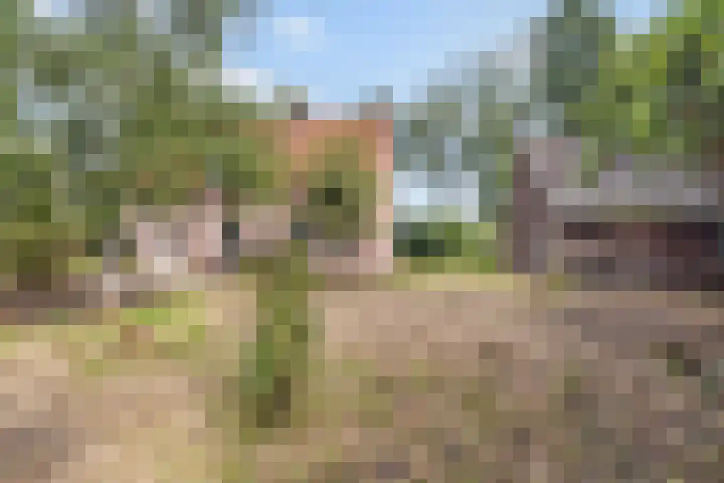 Peperstraat 14 Oirschot thumbnail 41