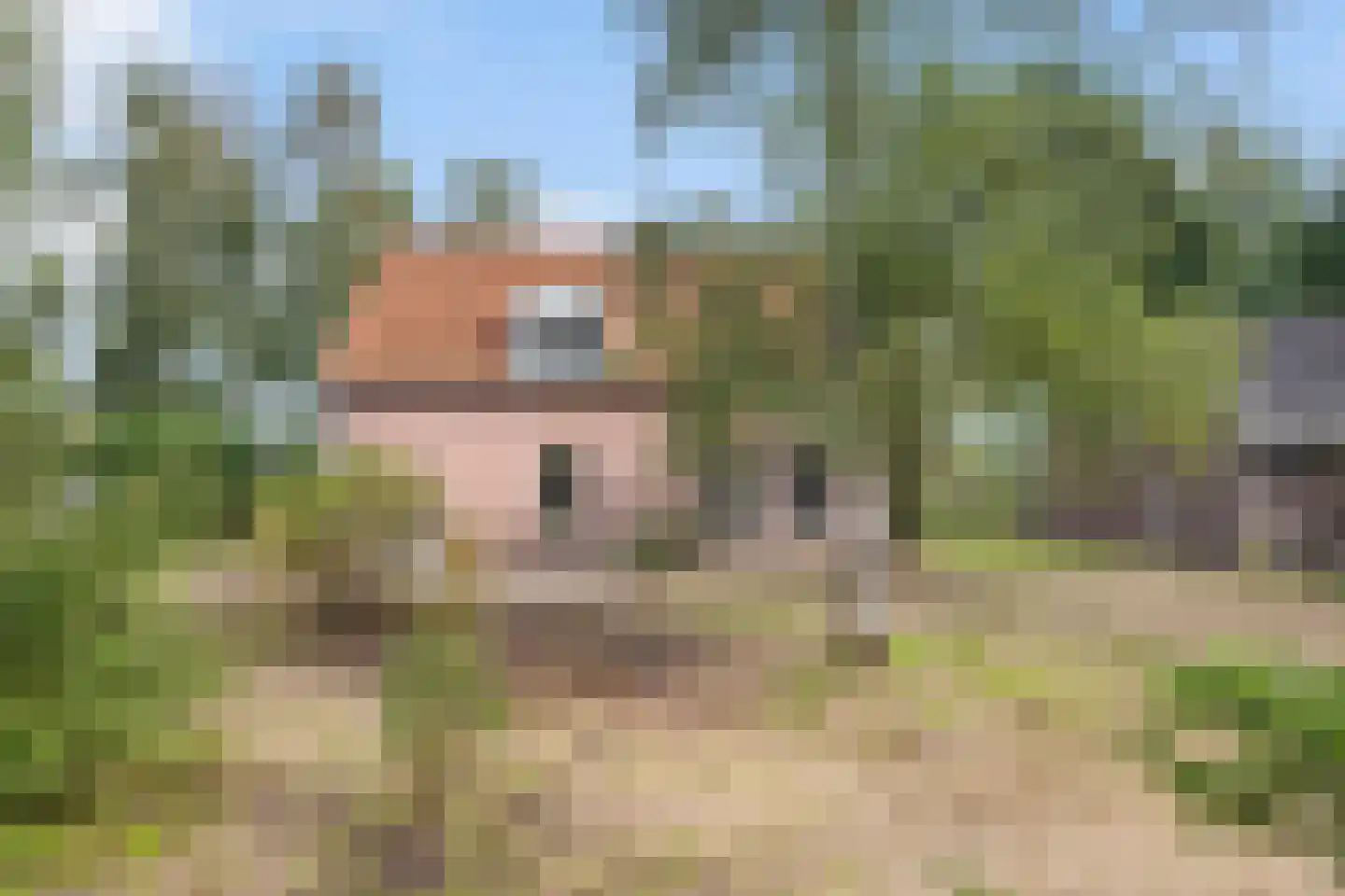 Peperstraat 14 Oirschot thumbnail 42