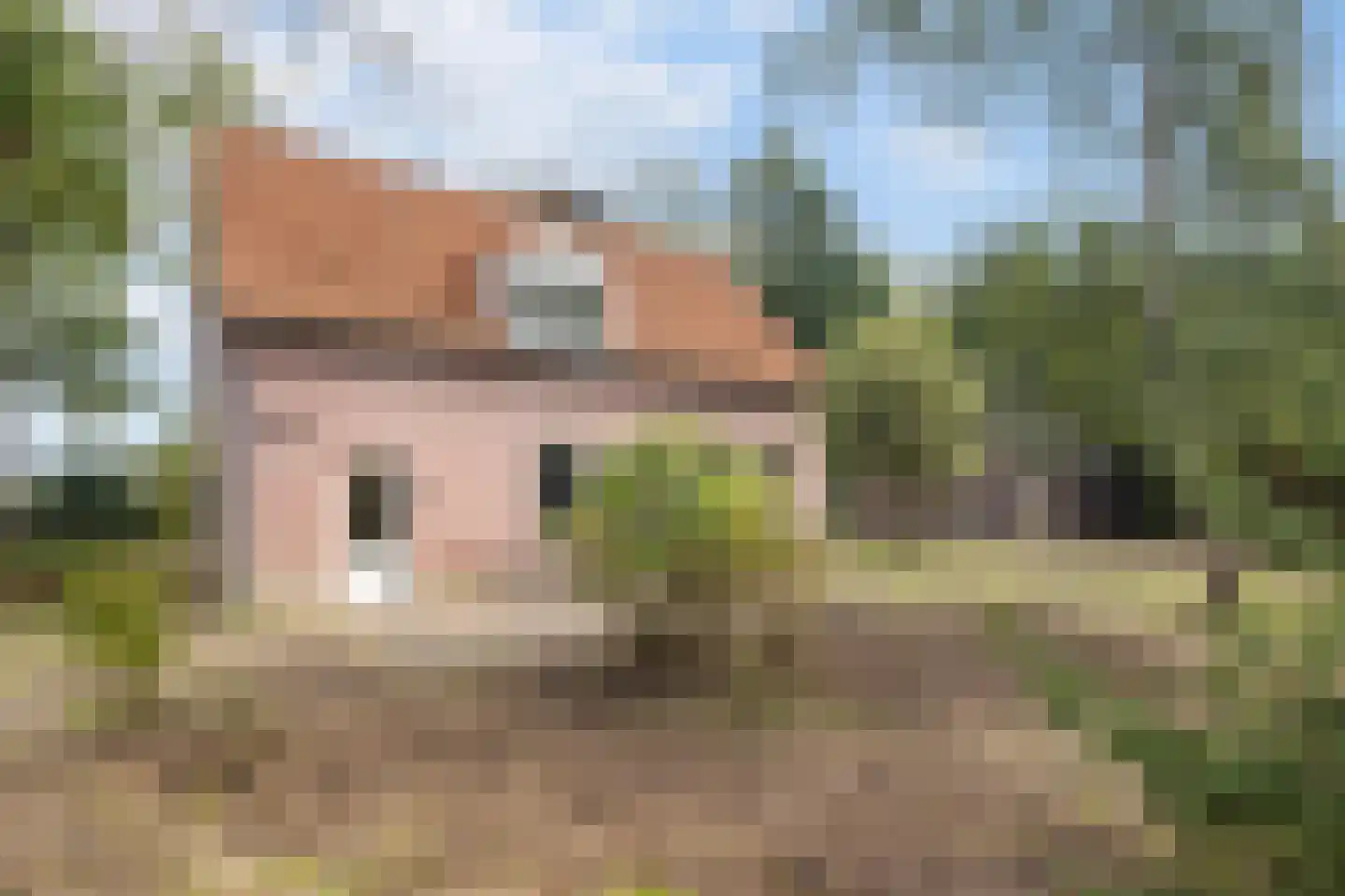 Peperstraat 14 Oirschot thumbnail 43