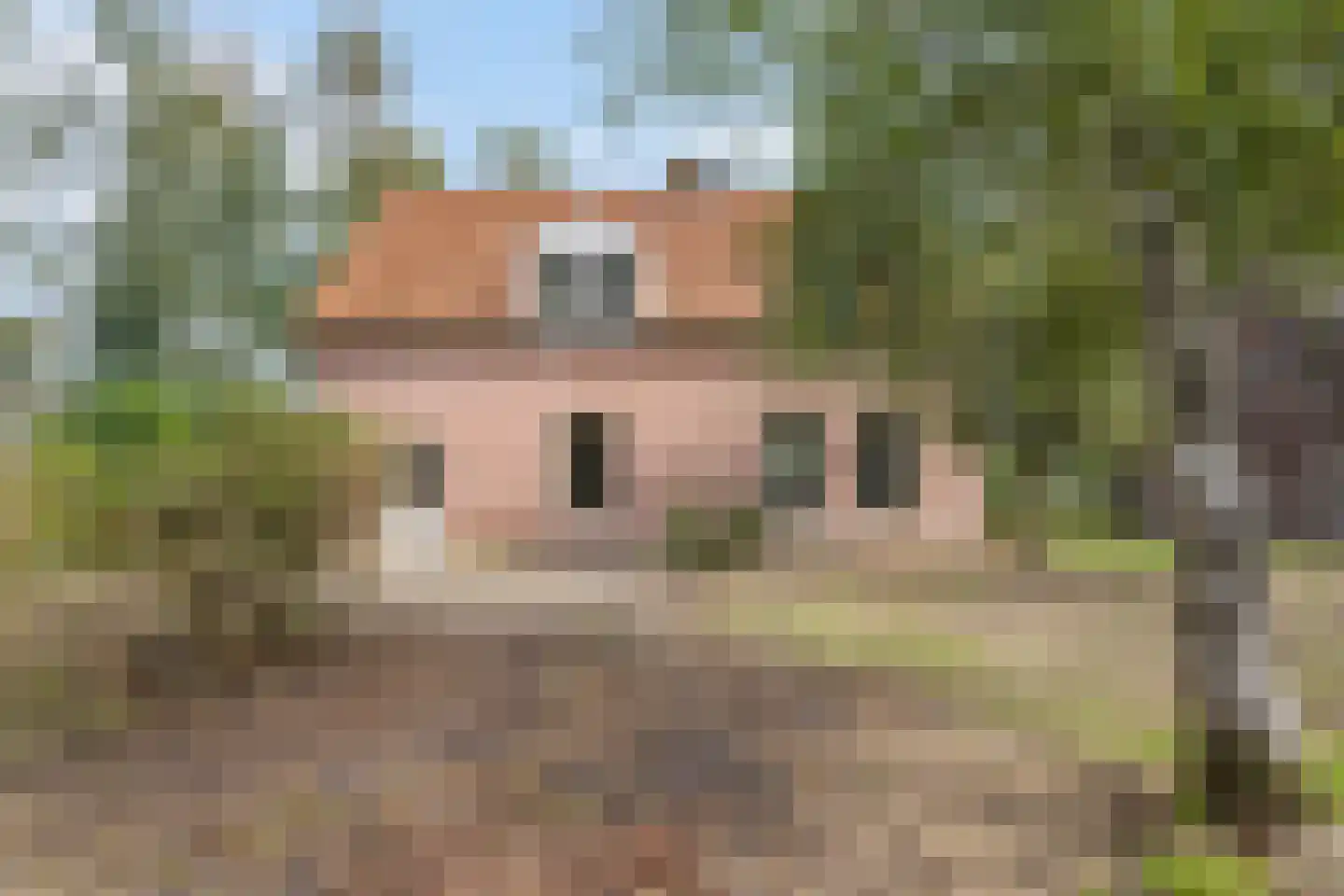 Peperstraat 14 Oirschot thumbnail 44