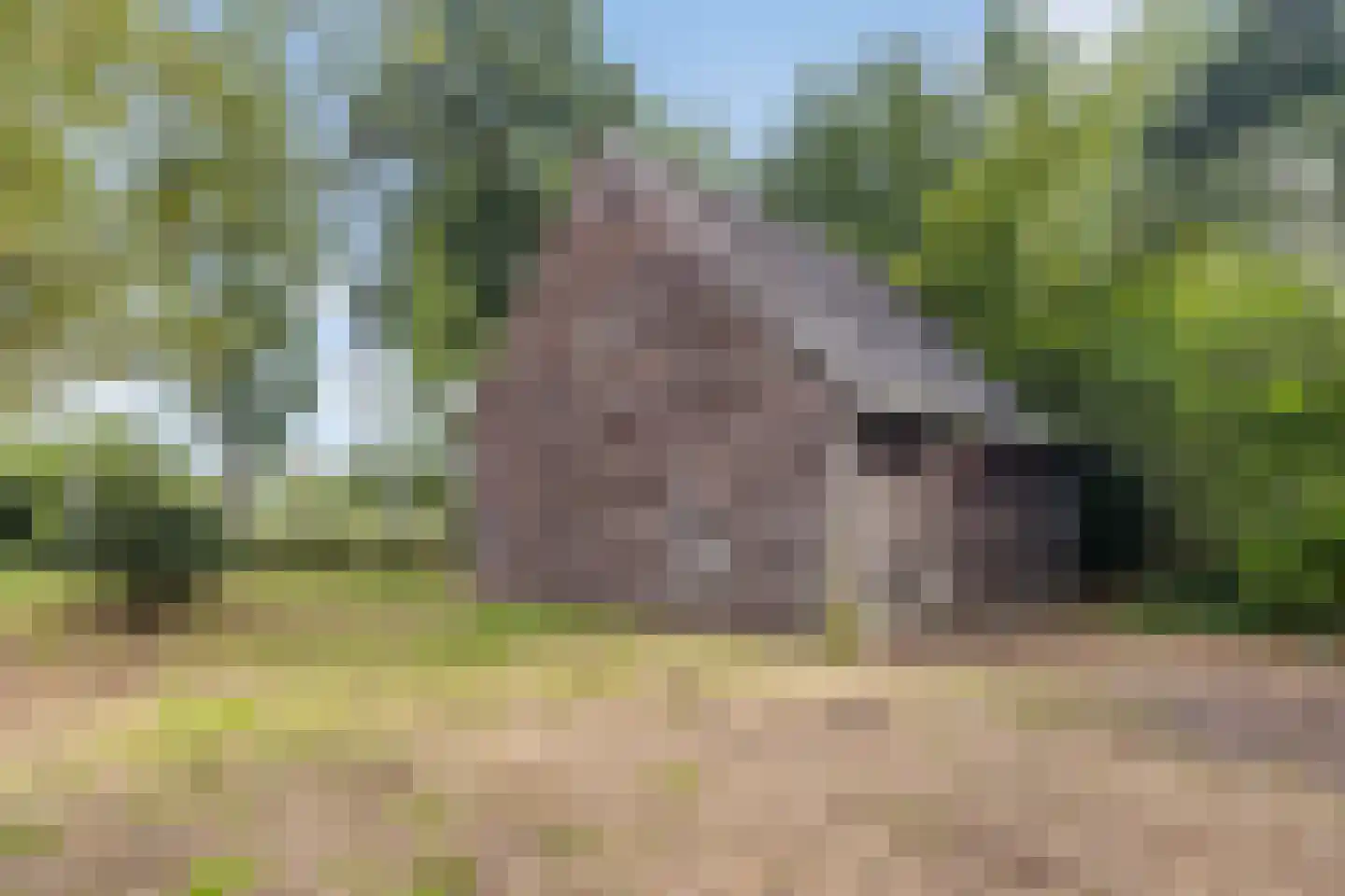Peperstraat 14 Oirschot thumbnail 46