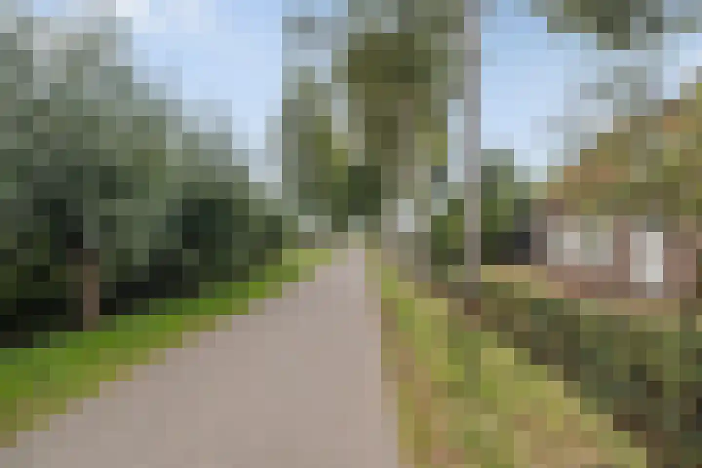 Peperstraat 14 Oirschot thumbnail 49