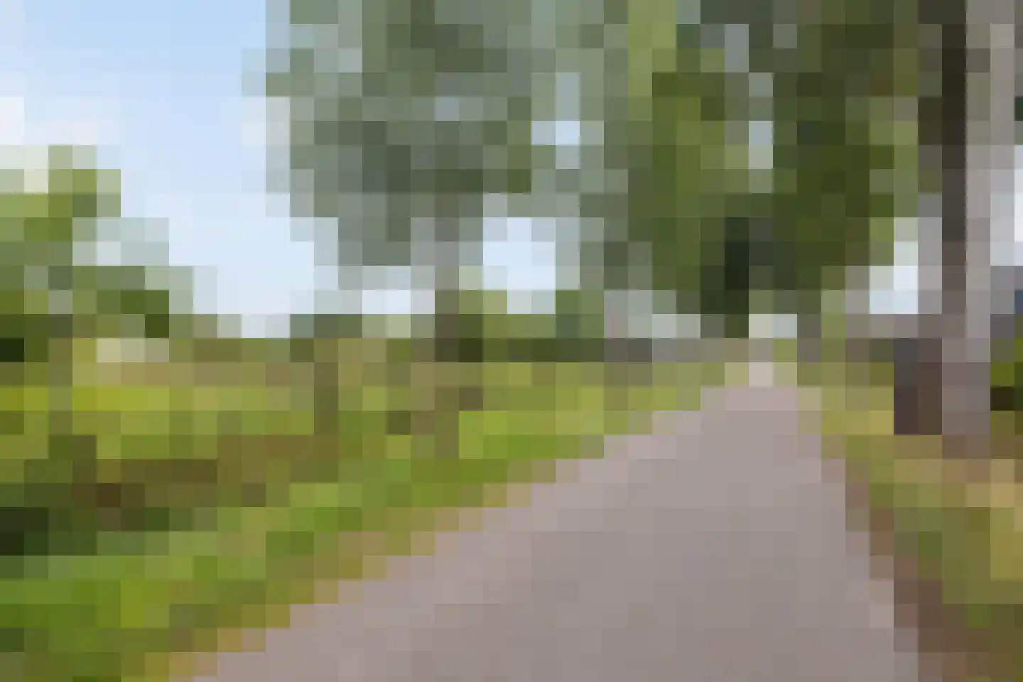 Peperstraat 14 Oirschot thumbnail 50