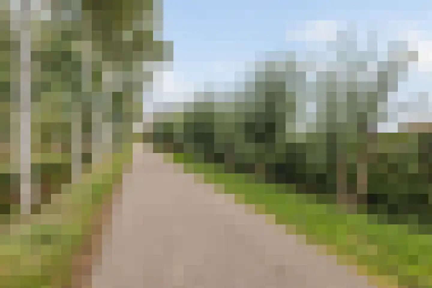 Peperstraat 14 Oirschot thumbnail 51