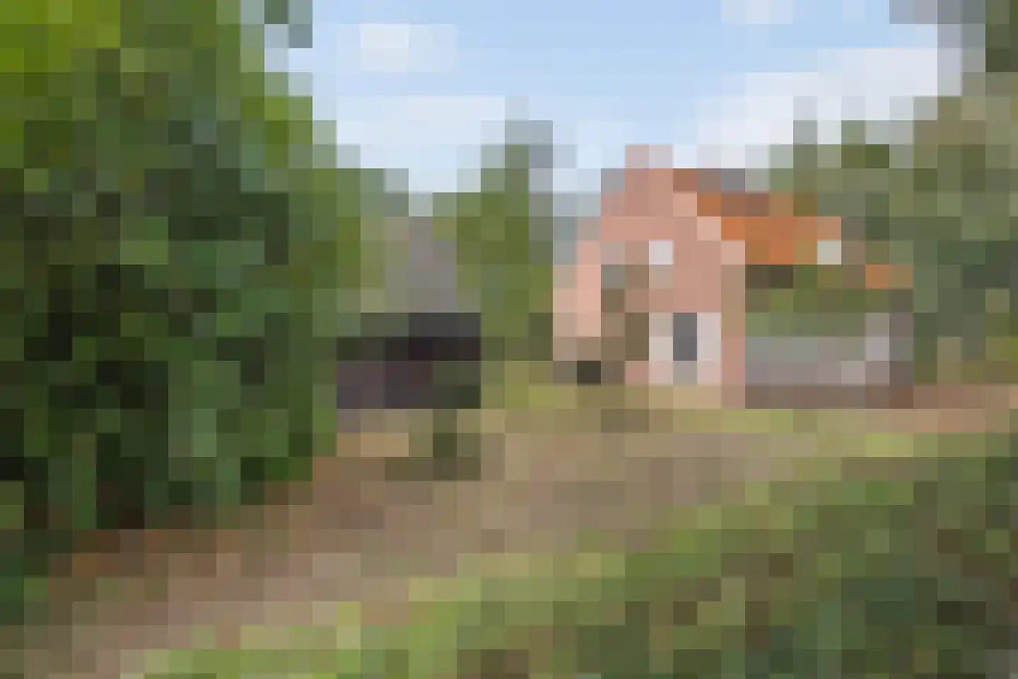Peperstraat 14 Oirschot thumbnail 6