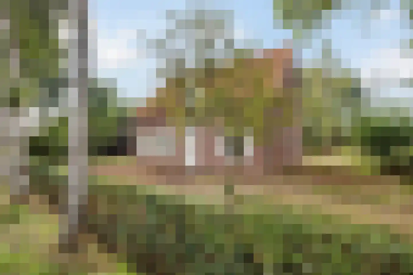 Peperstraat 14 Oirschot thumbnail 8