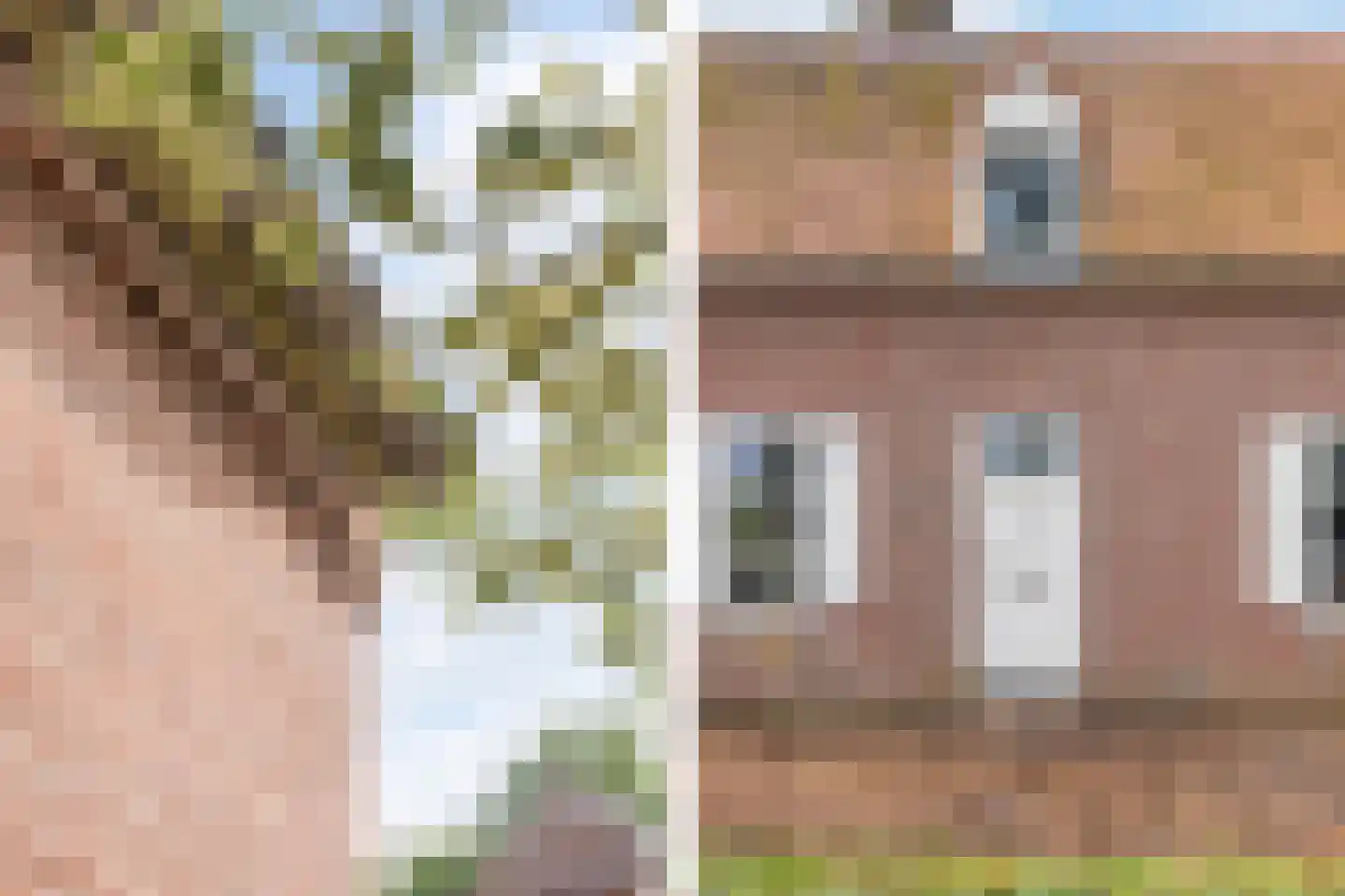 Peperstraat 14 Oirschot thumbnail 9
