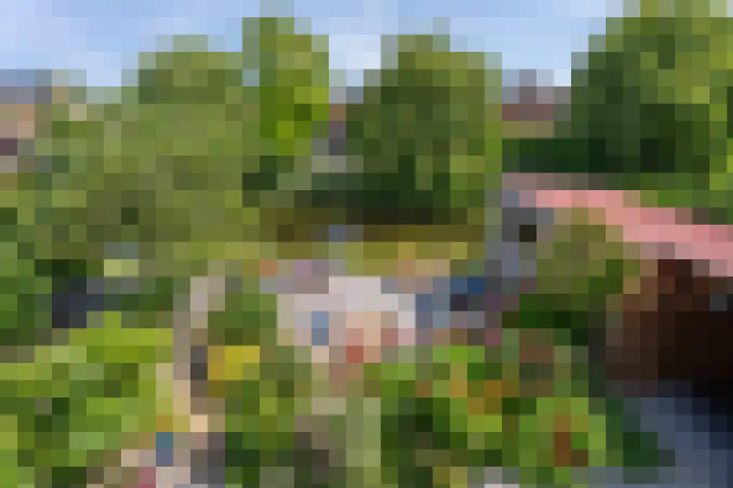 Peperstraat 14 Voorhout thumbnail 42