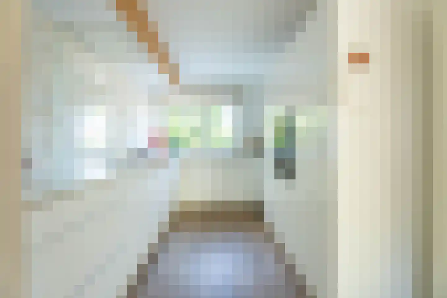 Peperstraat 14 Voorhout thumbnail 8