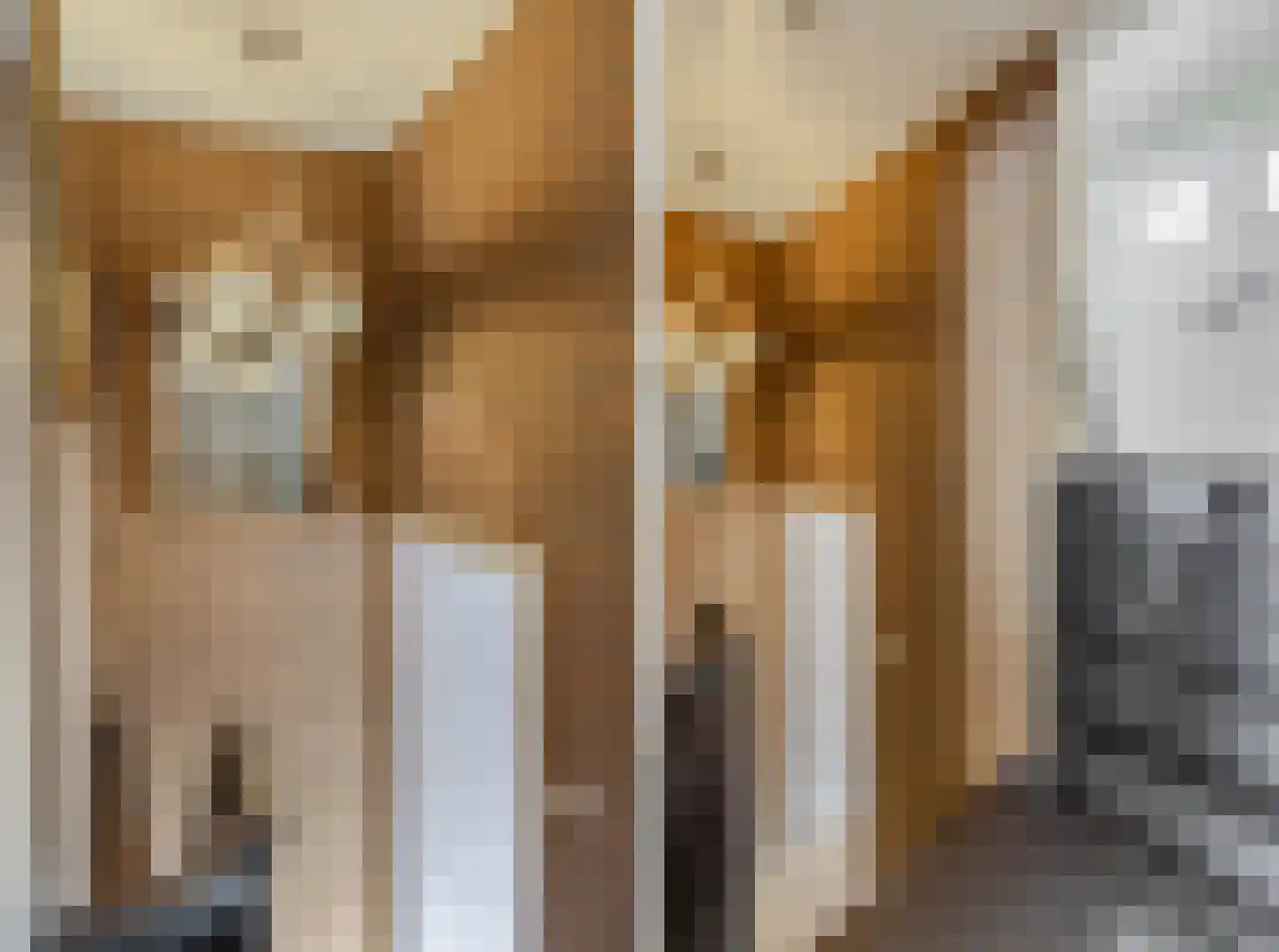 Peperstraat 16 a Wijk bij Duurstede thumbnail 10