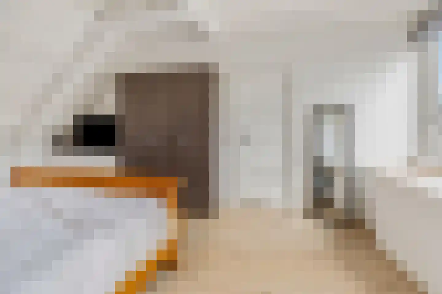 Peperstraat 16 a Wijk bij Duurstede thumbnail 27