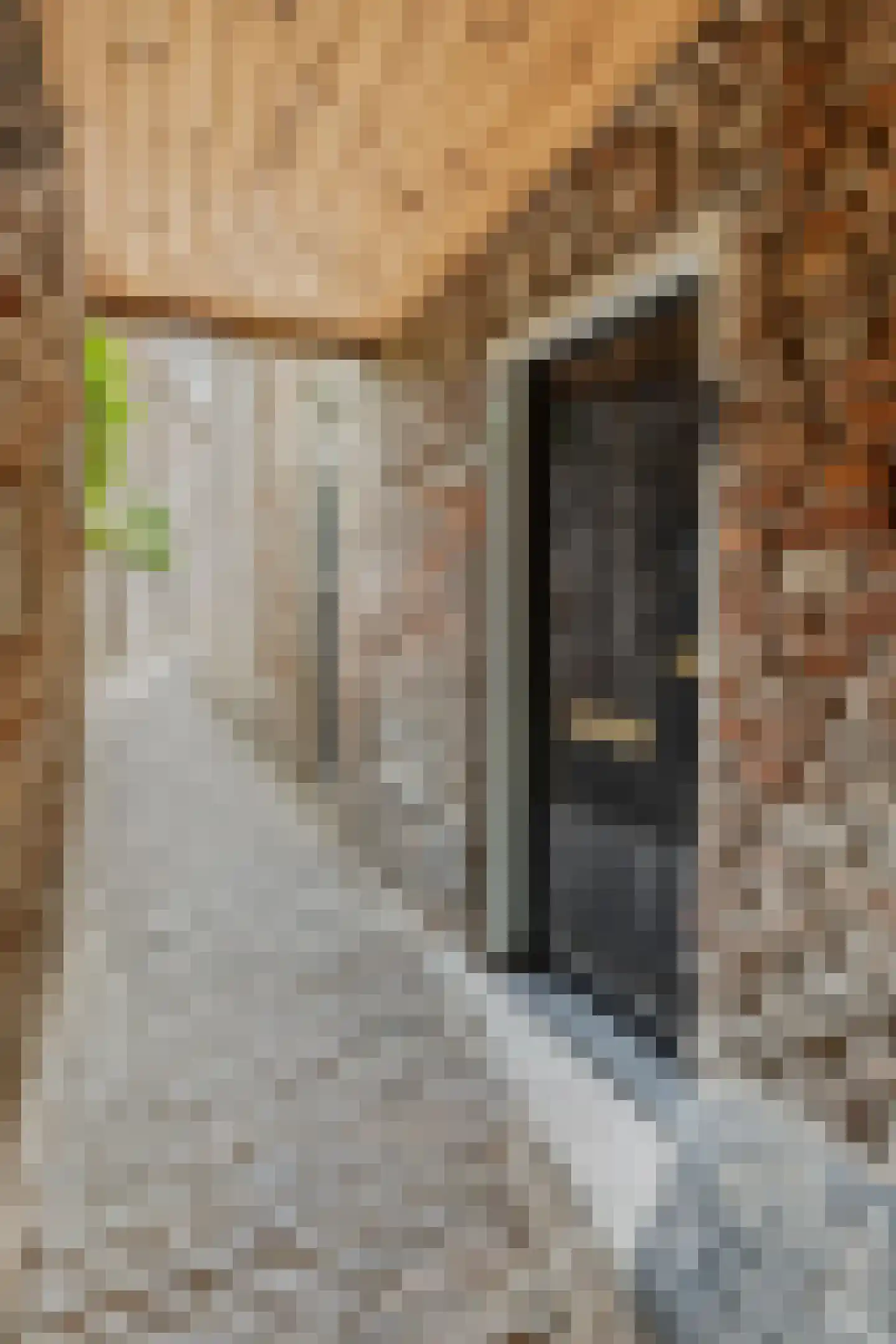 Peperstraat 16 a Wijk bij Duurstede thumbnail 39