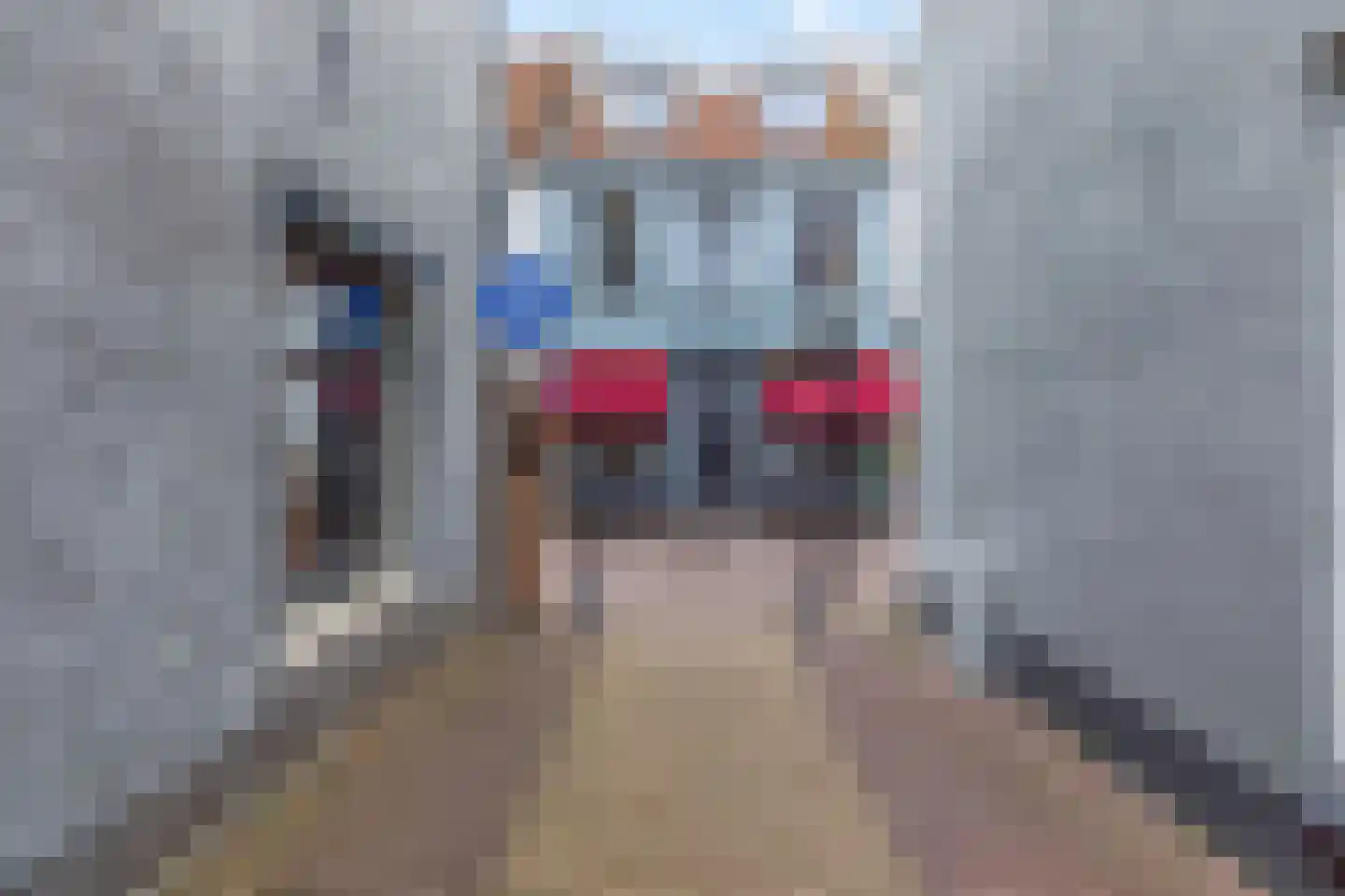 Peperstraat 16 a Wijk bij Duurstede thumbnail 47