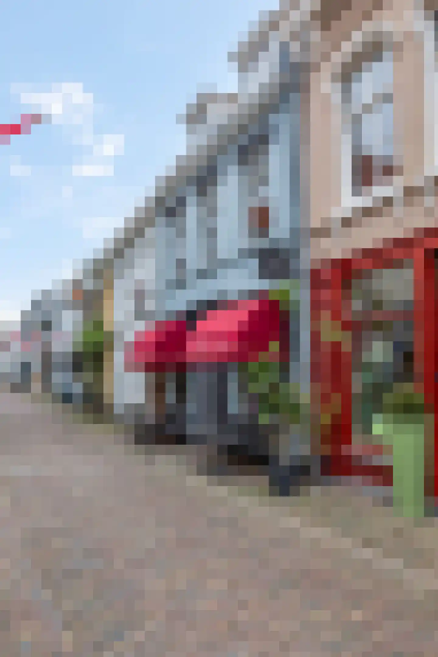 Peperstraat 16 a Wijk bij Duurstede thumbnail 49