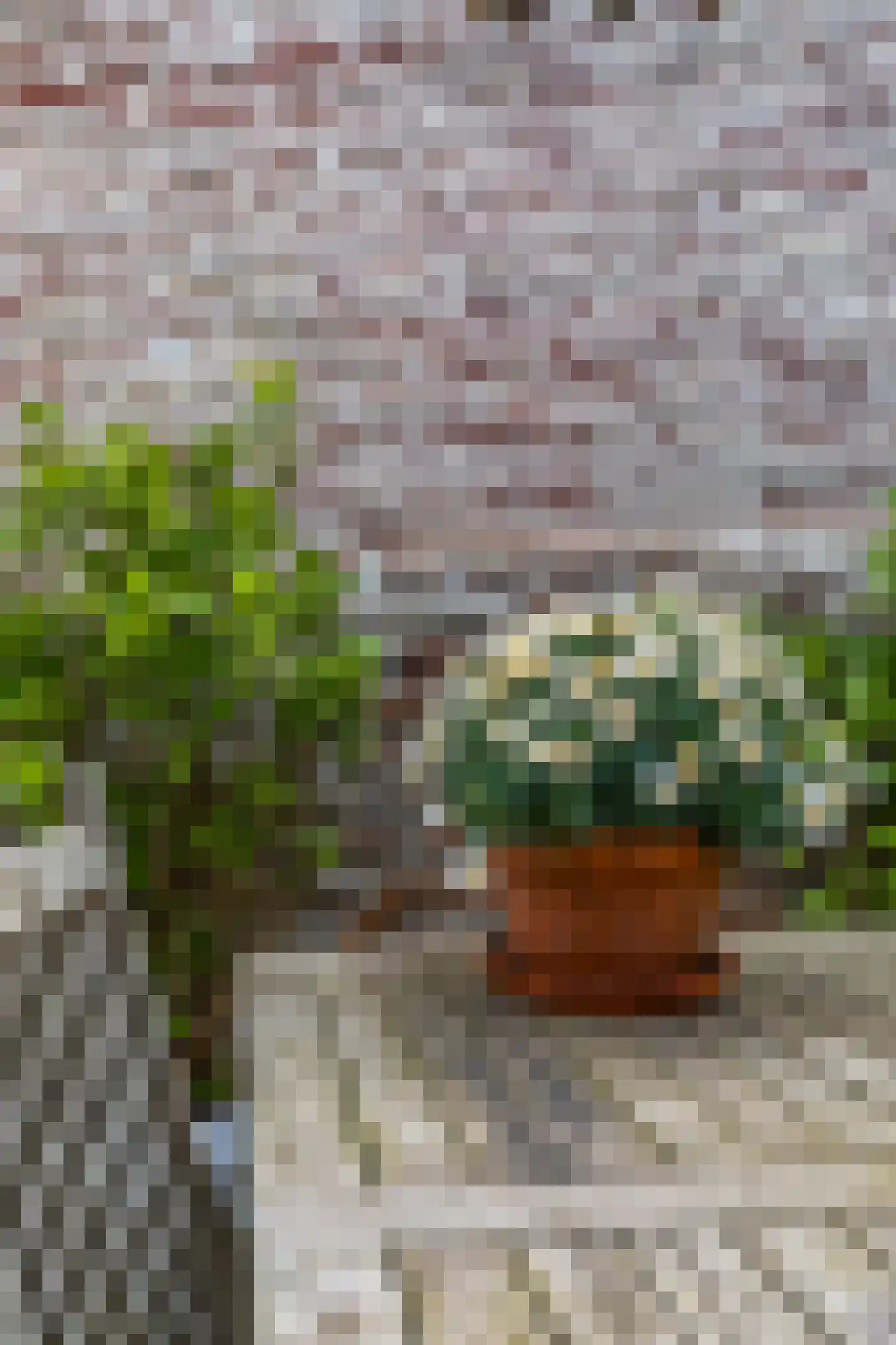 Peperstraat 16 a Wijk bij Duurstede thumbnail 8