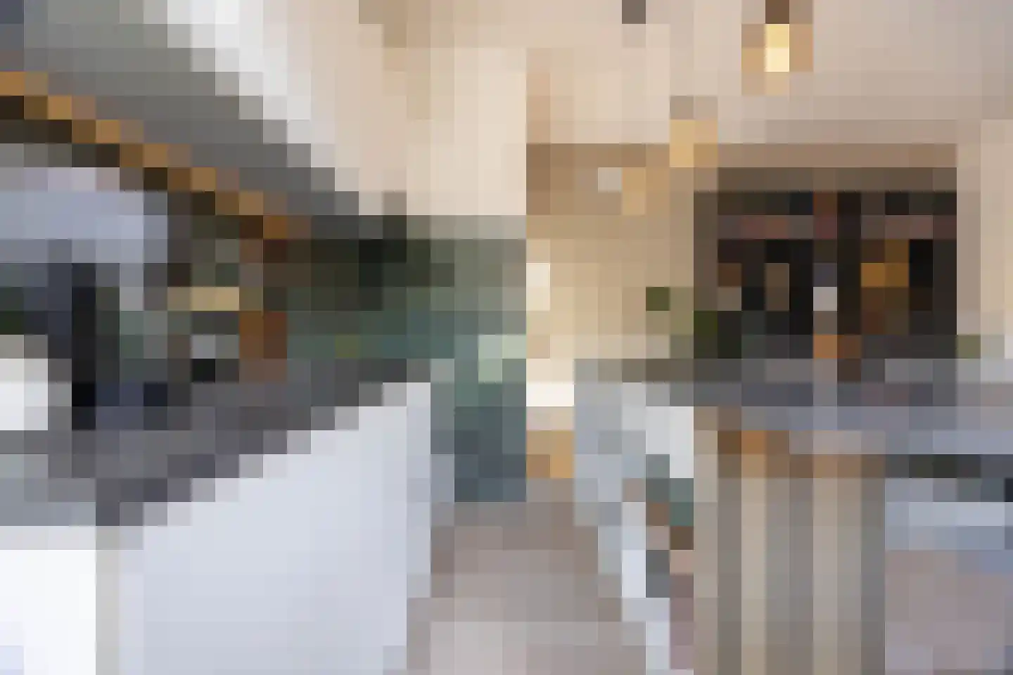 Peperstraat 18 Delft thumbnail 4