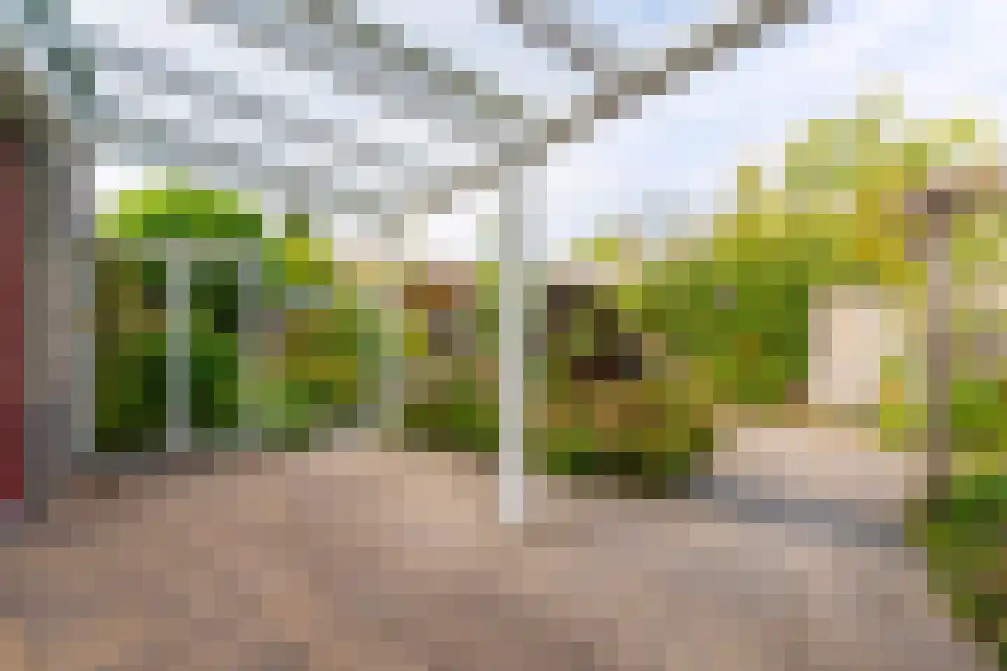 Peperstraat 19 Voorhout thumbnail 38