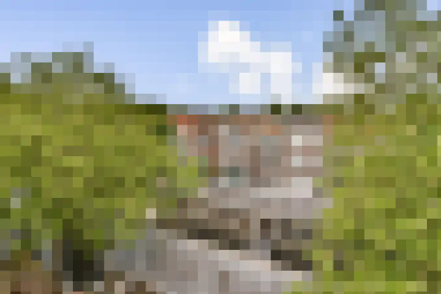 Peperstraat 2 a Gouda thumbnail 14
