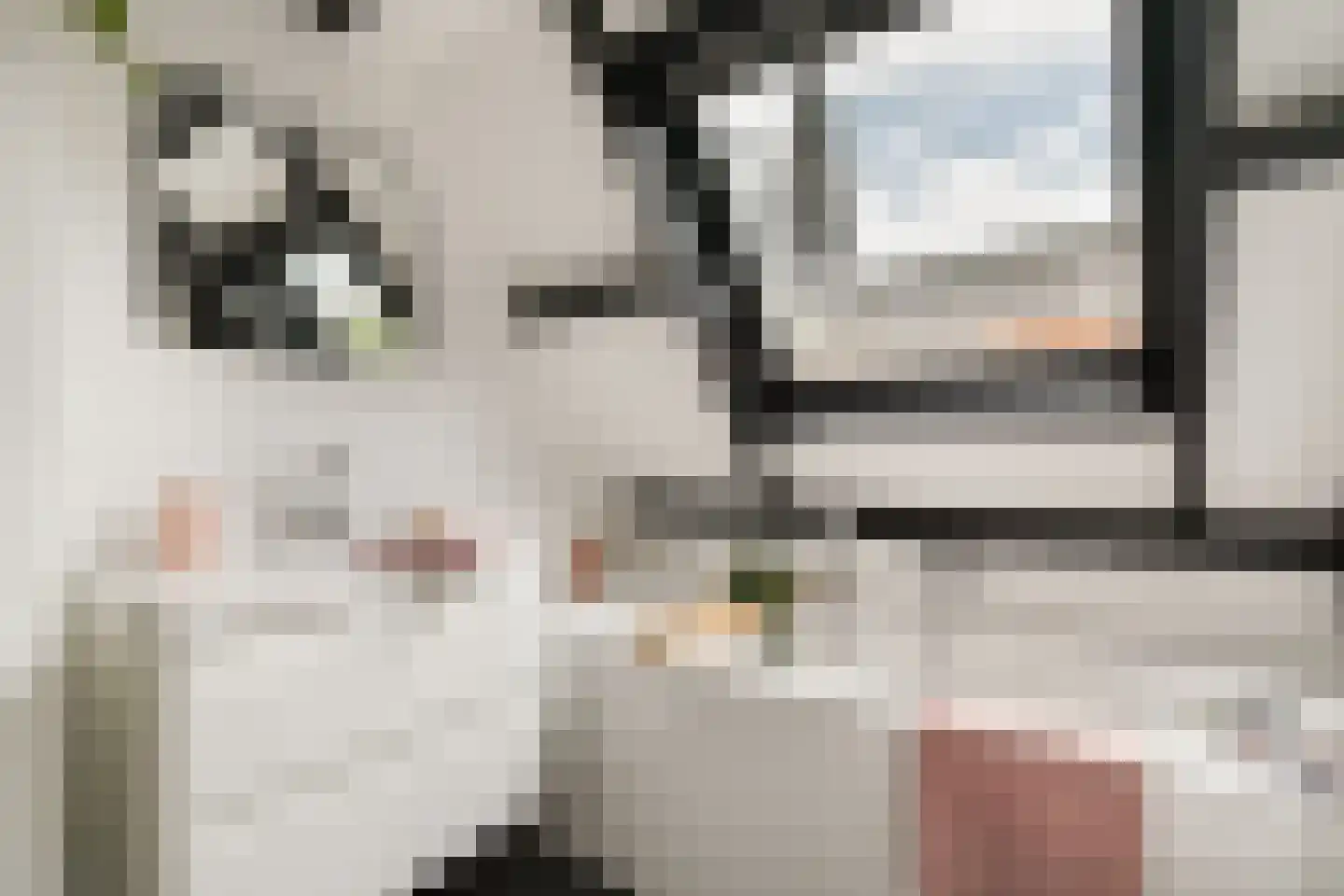 Peperstraat 2 a Gouda thumbnail 17