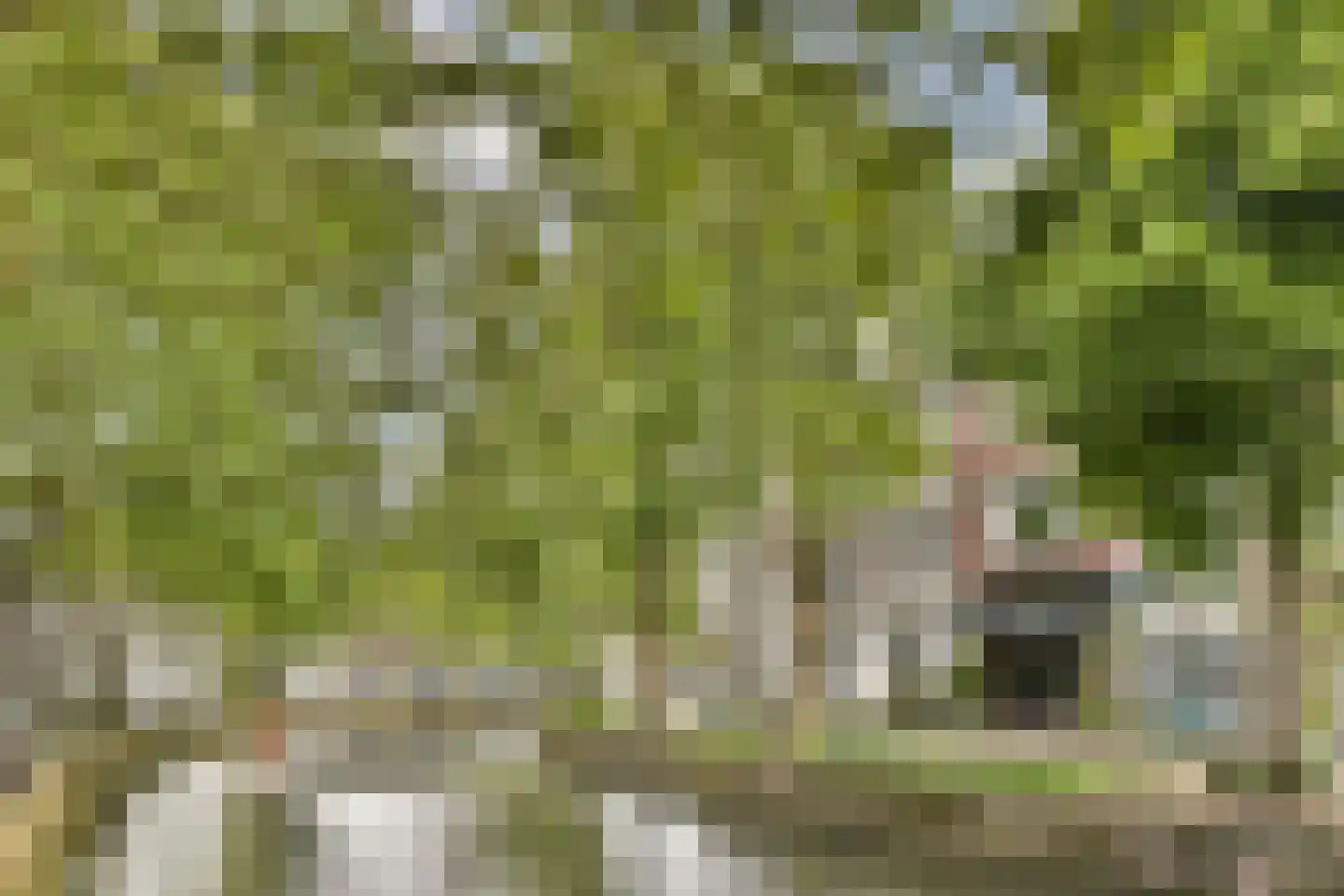 Peperstraat 2 a Gouda thumbnail 22