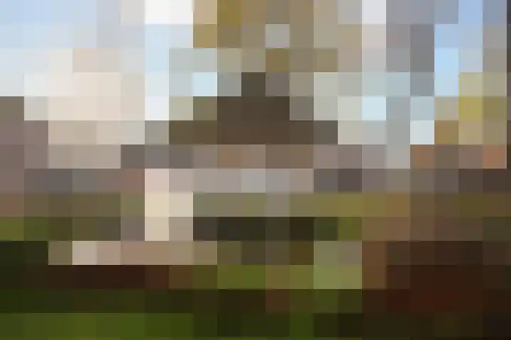 Peperstraat 2 B Oisterwijk thumbnail 23
