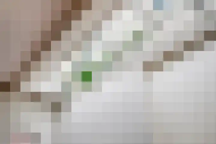 Peperstraat 2 Waardenburg thumbnail 22