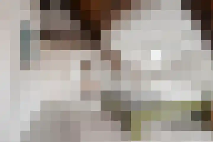 Peperstraat 2 Waardenburg thumbnail 29