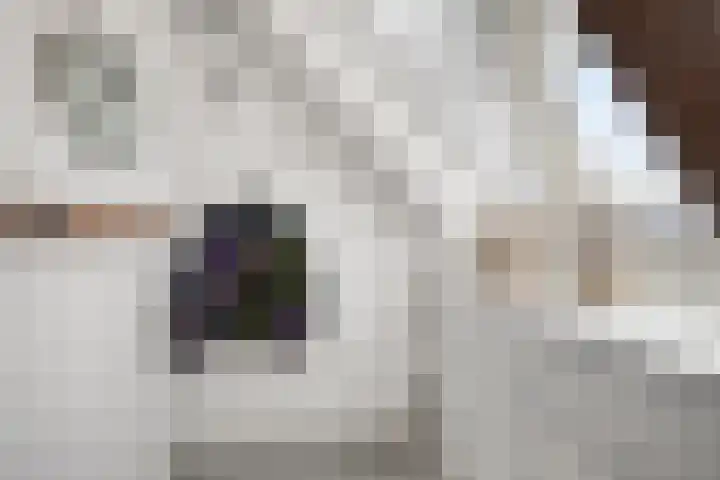 Peperstraat 2 Waardenburg thumbnail 30