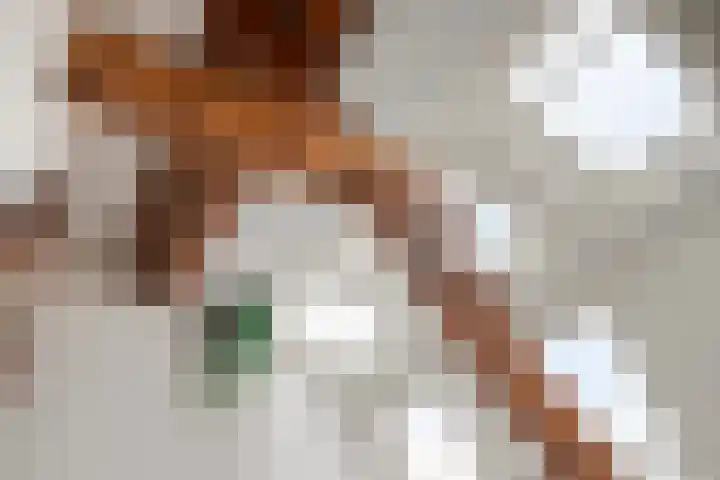 Peperstraat 2 Waardenburg thumbnail 34