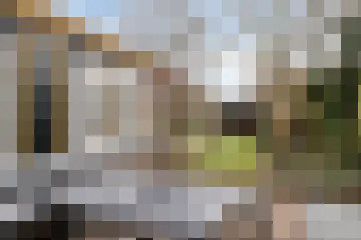Peperstraat 2 Waardenburg thumbnail 37