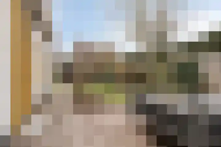 Peperstraat 2 Waardenburg thumbnail 38