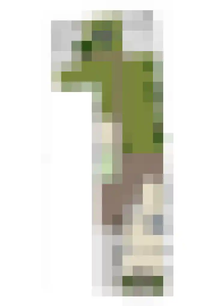 Peperstraat 2 Waardenburg thumbnail 54