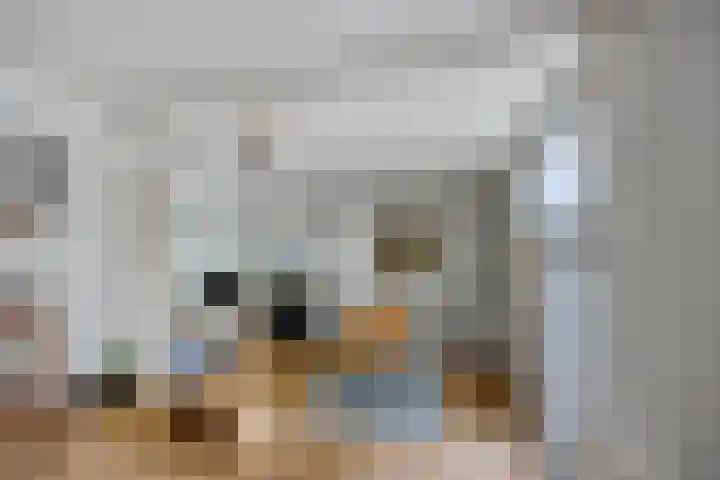 Peperstraat 20 Eindhoven thumbnail 12